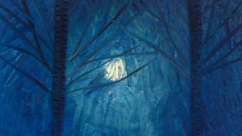 Bitcoin Observations - Week of 2/7