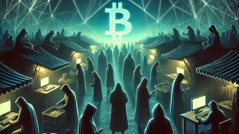 The Enigmatic Odyssey of Silk Road: From Digital Revolution to Its Downfall