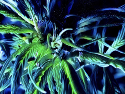 Digital Art from the Mystical Herb Garden. High CBD