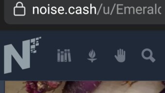 How to do a direct wallet tip to a member on noise.cash