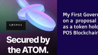 My First Governance vote on a proposal as a token holder of POS Blockchain - Cosmos