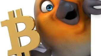 Crazy Crypto Moments
