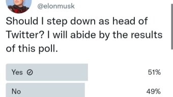 Elon Musk Puts Twitter CEO Job in the Hands of Voters