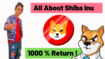 All About Shiba Inu Coin | 1000% Return | Robinhood