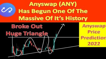 ANY Has Begun One Of The Massive Of It’s History | Anyswap Price Prediction 2022