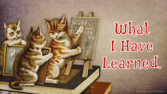 What Have I Learned?