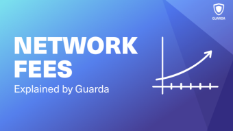 High Network Fees Explained