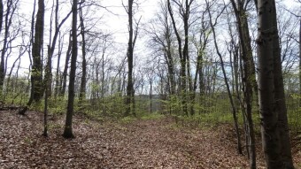 Today's trip to the Kraków-Częstochowa Upland - My Actifit Report Card: June 20, 2025