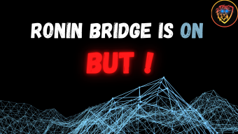 Ronin Bridge Operates Again BUT...