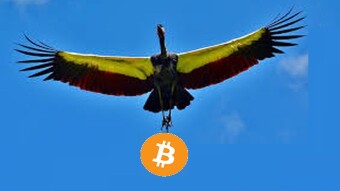 A profitable option trade strategy for Bitcoin