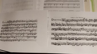Recording a Huberty Viola d'amore Duo
