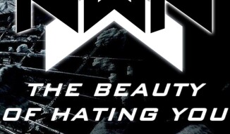 The Beauty Of Hating You