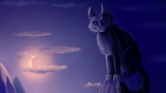 Digital art_2020. Yule cat