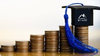 VARIOUS MEANS OF EARNING IN BITYARD.