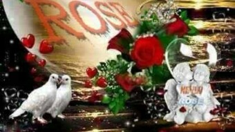 Pure Momment of pure love
