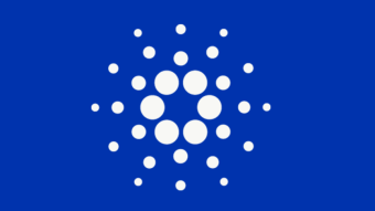 Store Your Cardano Earning Value Every 5 Days