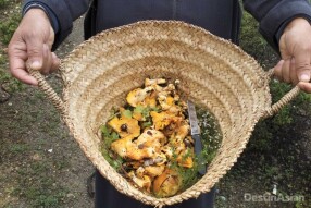 Foraging and Finding the Ugly, But Useful "Pisolithus Arhizus"