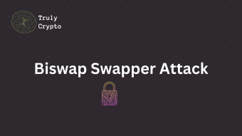 How a Hacker Burned and Swapped $710K Worth of LP Tokens on BiswapDEX.