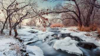 What Montezuma’s Revenge can teach us about crypto winter
