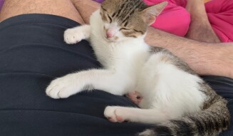 Loco can sleep everywhere.... life like a king.