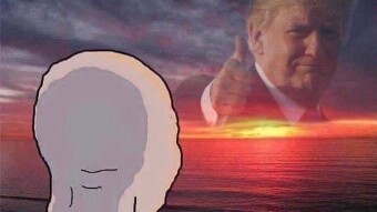 Consolidating USDC Yields - Blend The Birb With Mezo & EthGas