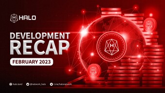 HALO Network — February Development Recap