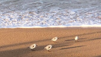 STRESS ….  HOW DO YOU HANDLE IT?