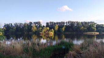 Another sunny and warm day - My Actifit Report Card: May 20, 2026