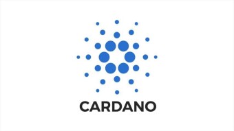 Cardano is the Busiest Project in 2019 !!!