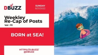 Recap of this Week's Posts by D.Buzz Vol.111