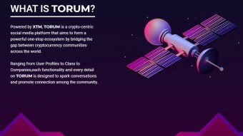 Earn Free Crypto Microblogging On Torum