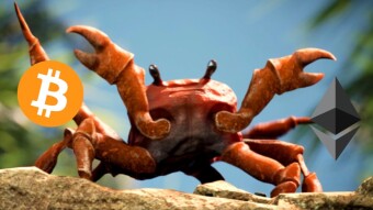 Surviving This Bitcoin Crab Market Could Change Your Life