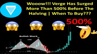 Wooow!!! Verge (XVG) Has Surged More Than 500% Before The Halving | When To Buy???
