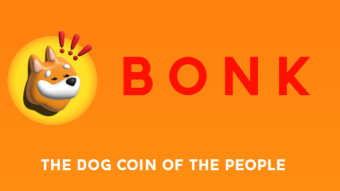 Bonk Inu Will Turn 1 Year Old This Christmas 2023