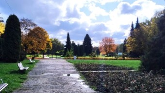 Saturday with gusty winds, but also plenty of sunshine - My Actifit Report Card: October 18 2025