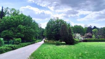 It's getting warmer - time for your first tent camping trip - My Actifit Report Card: May 22, 2026