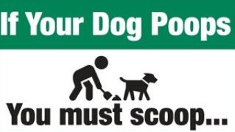 Bitcoin: Poop and Scoop - Updated TA (5/18/2021)