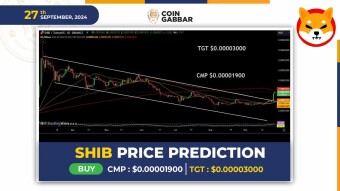 Shiba Inu Price Prediction: Is SHIB Primed for 100% Rally?