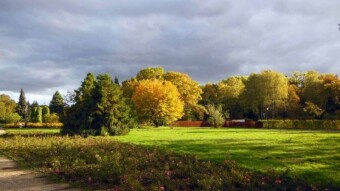 A bit of sun, rain, wind - as it is in autumn - My Actifit Report Card: October 13, 2024
