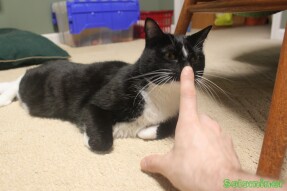 Walter, smell my finger