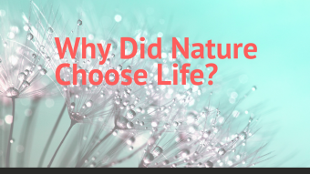 Why Did Nature Choose Life?