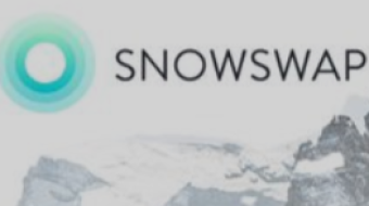 SnowSwap for super Dummy 2