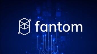 My C.J. ep 28 How to setup Fantom opera and its tokens