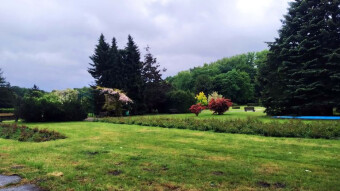 Still cold, windy and rainy, but spring-like and green