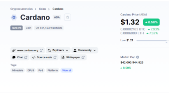 NEXT BIG CRYPTO | Cardano Ecosystem | Spring 2021