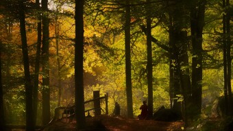 The beauty of autumn!