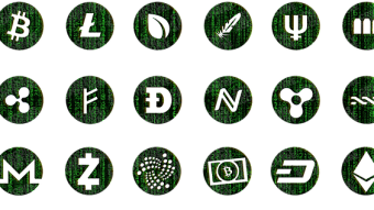 Bitcoin or shitcoins? What to buy?
