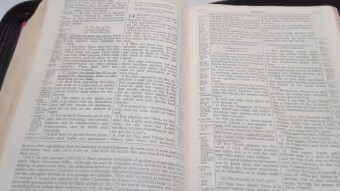 WE ARE STEWARDS OF GOD