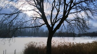 Wednesday is a thaw, it's getting more and more spring-like - My Actifit Report Card: February 18, 2026
