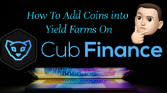 How Add Tokens to Cub Finance Farming